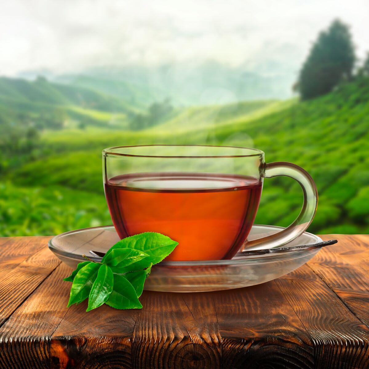 Red Rose Orange Pekoe tea bags brew steamy cup ideal for morning ritual