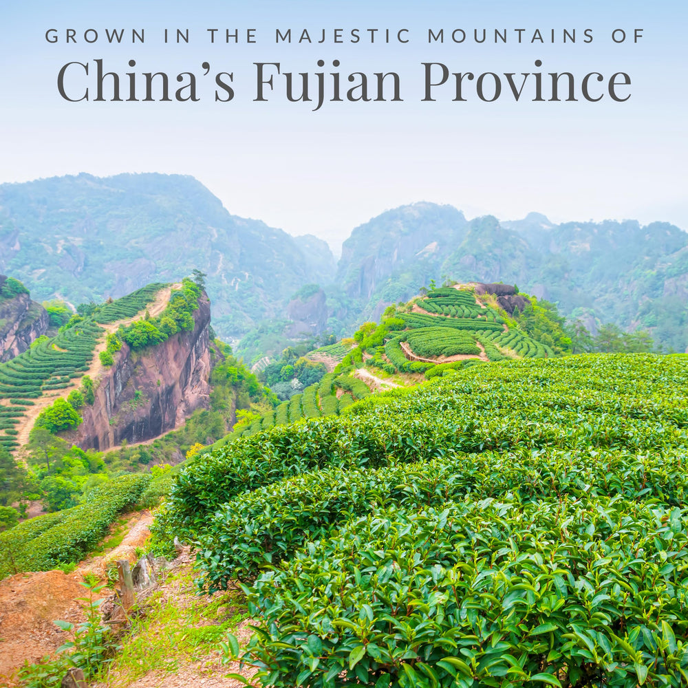 The Republic of Tea 100 percent China white tea leaves for authentic flavor
