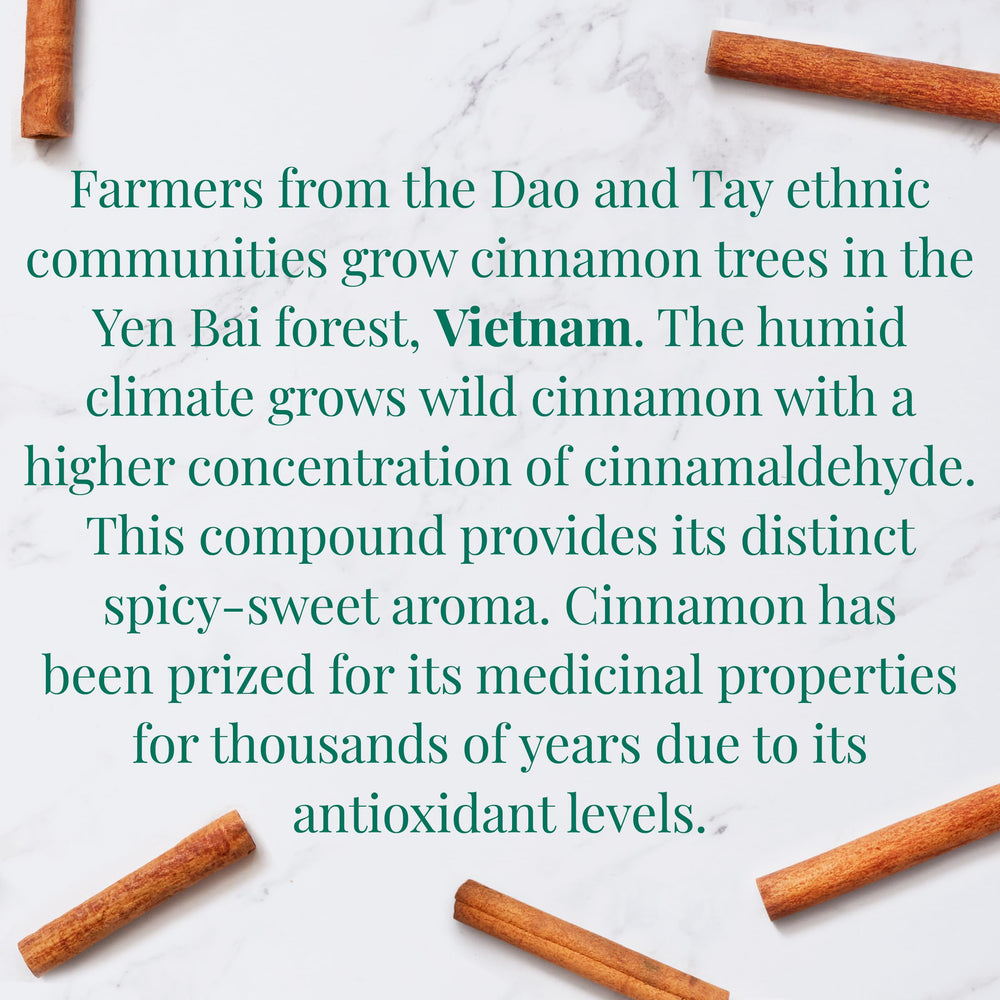 Close-up of cinnamon aroma from The Republic of Tea