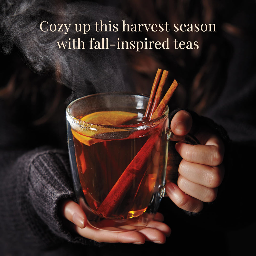 The Republic of Tea Pumpkin Pie Chai Herb Tea, bakery-inspired spice for a comforting cup.