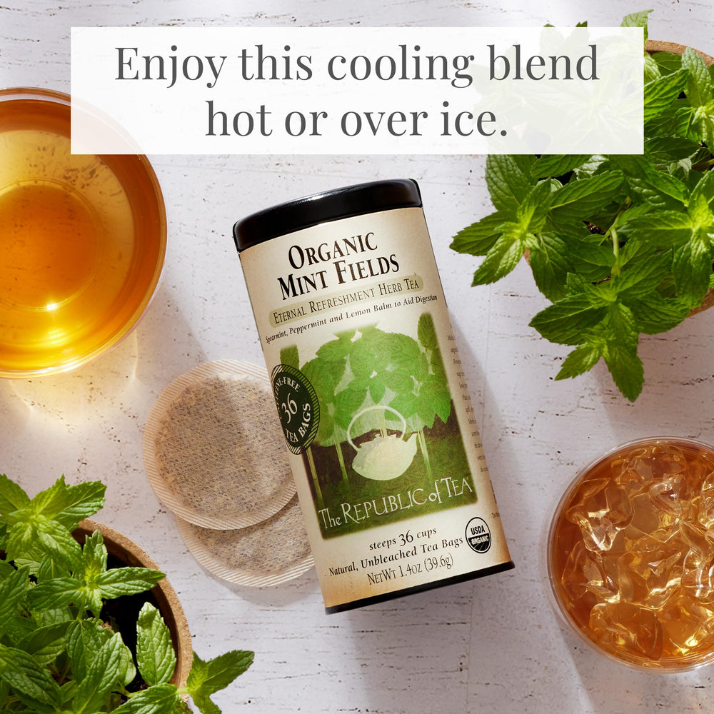 The Republic of Tea Organic Mint Fields iced serve cools with refreshing mint.