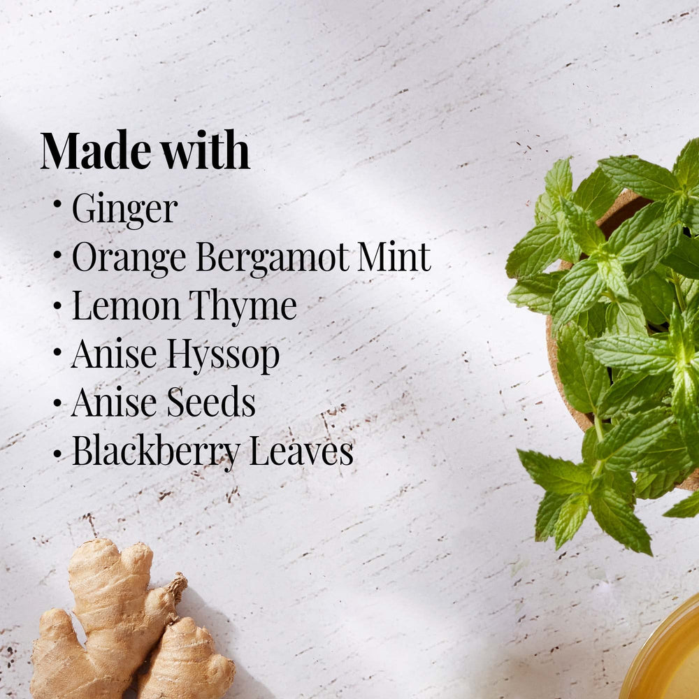 The Republic of Tea steeping orange-ginger-mint brew for a soothing ritual.