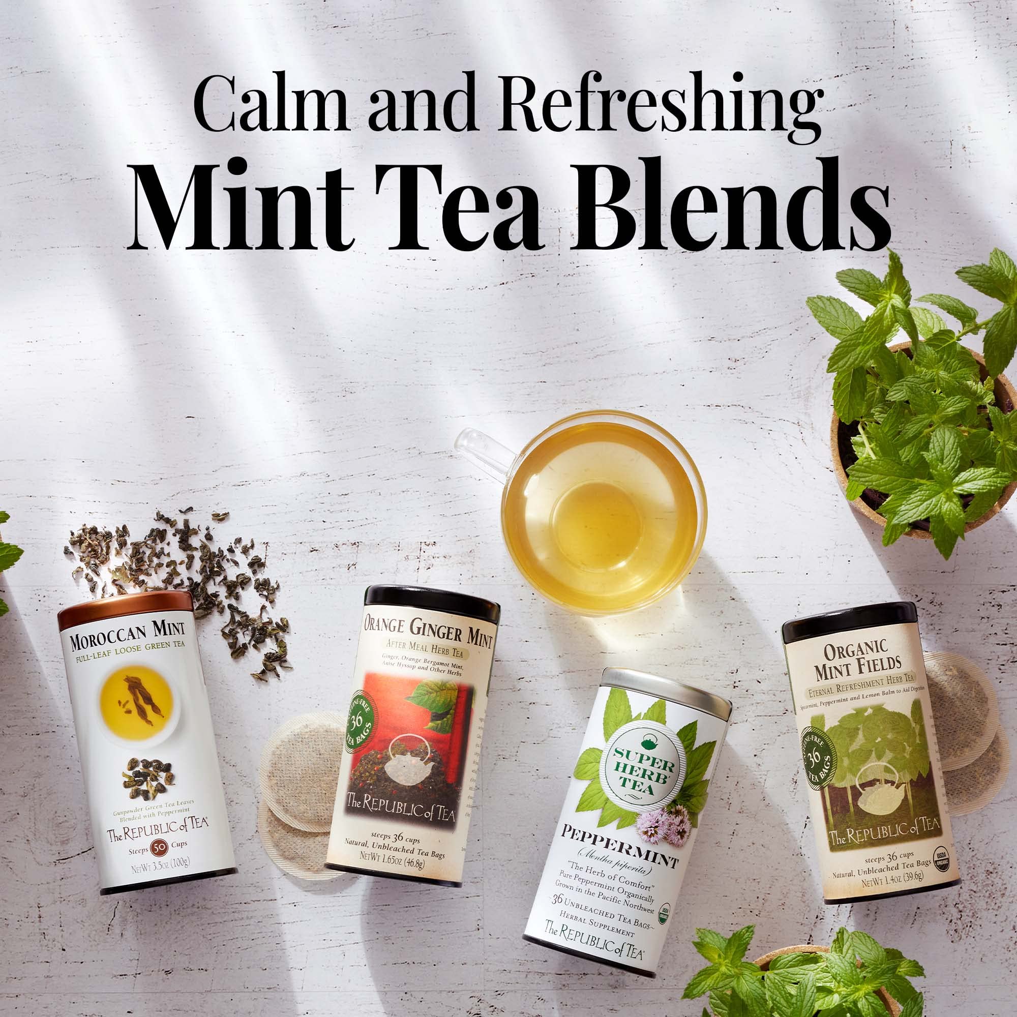 The Republic of Tea worldwide-origin blend highlights premium ingredients.