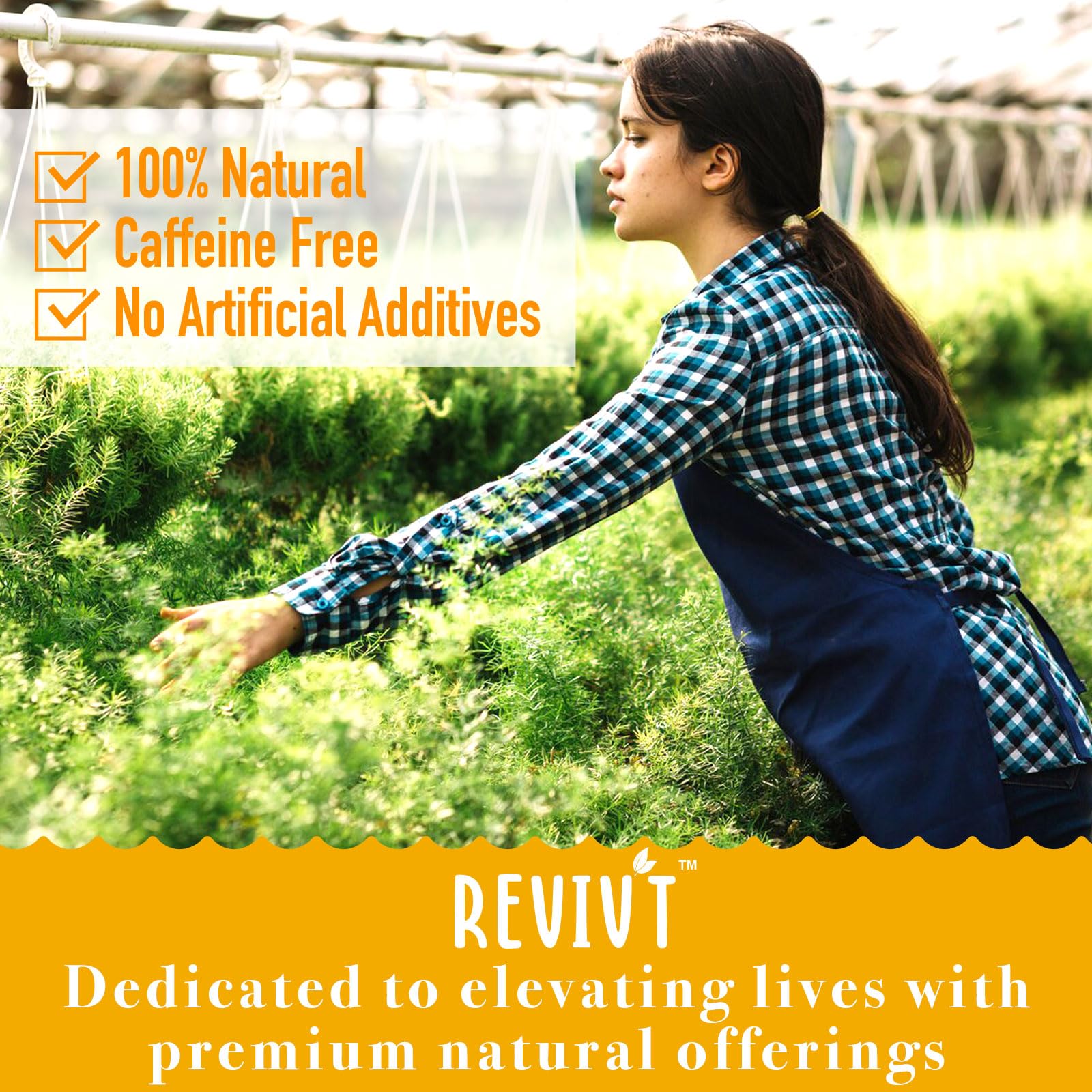 REVIVT Colon Detox Tea included in the holistic wellness collection.