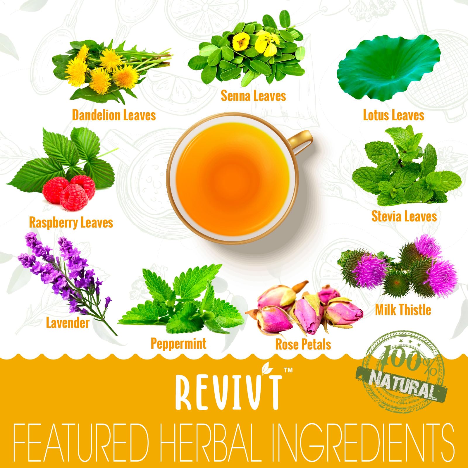 REVIVT Colon Detox Tea tea bag ready for a caffeine-free cleanse.