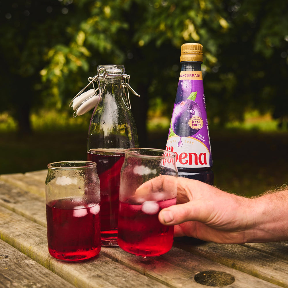 Ribena bottle on kitchen shelf in a family setting.