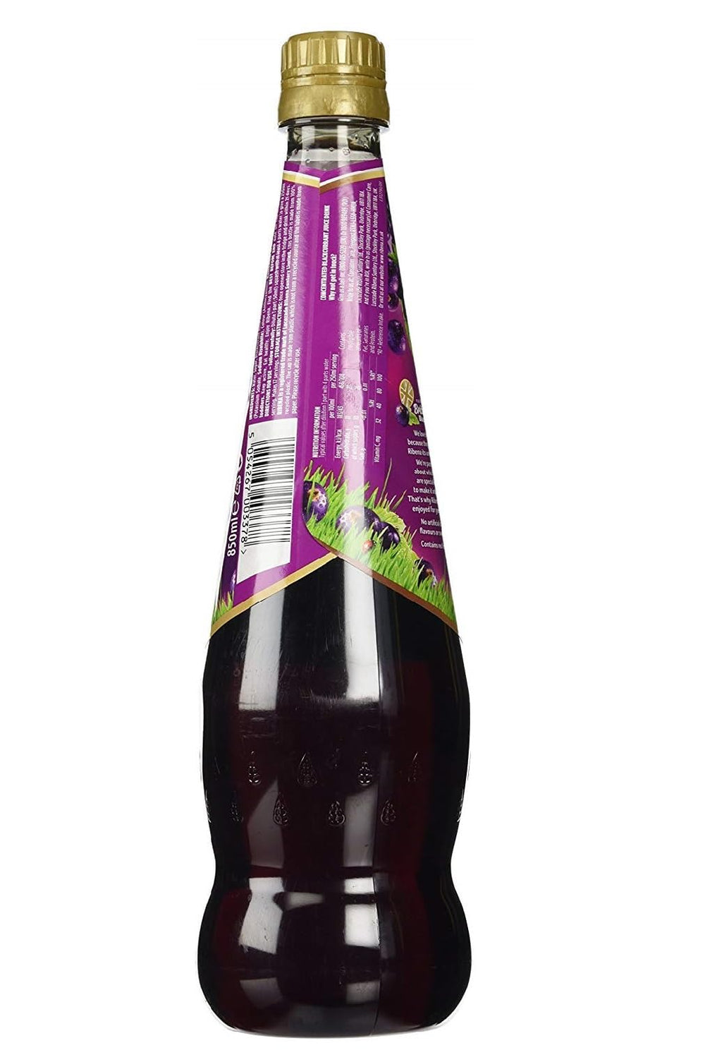 Ribena Original Blackcurrant Drink close-up label highlights the classic flavor