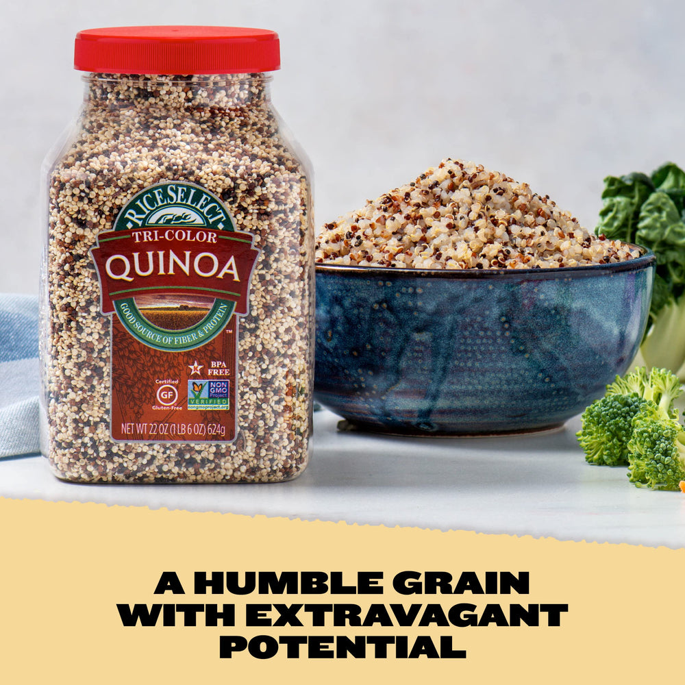 Cooked fluffy Tri-Color Quinoa bowl ready to serve.