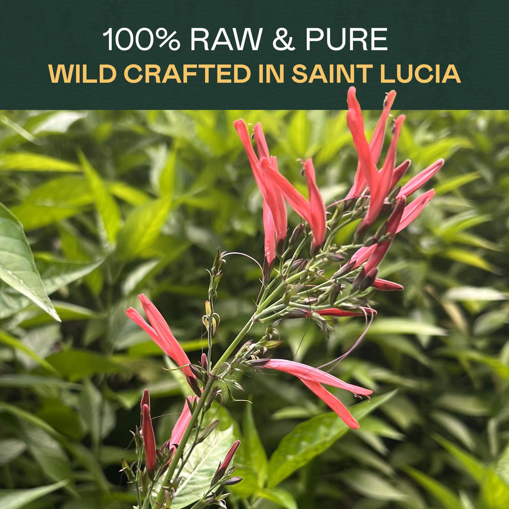 Rich Sol Foods St. John’s Bush origin labels from St. Lucia signaling quality.