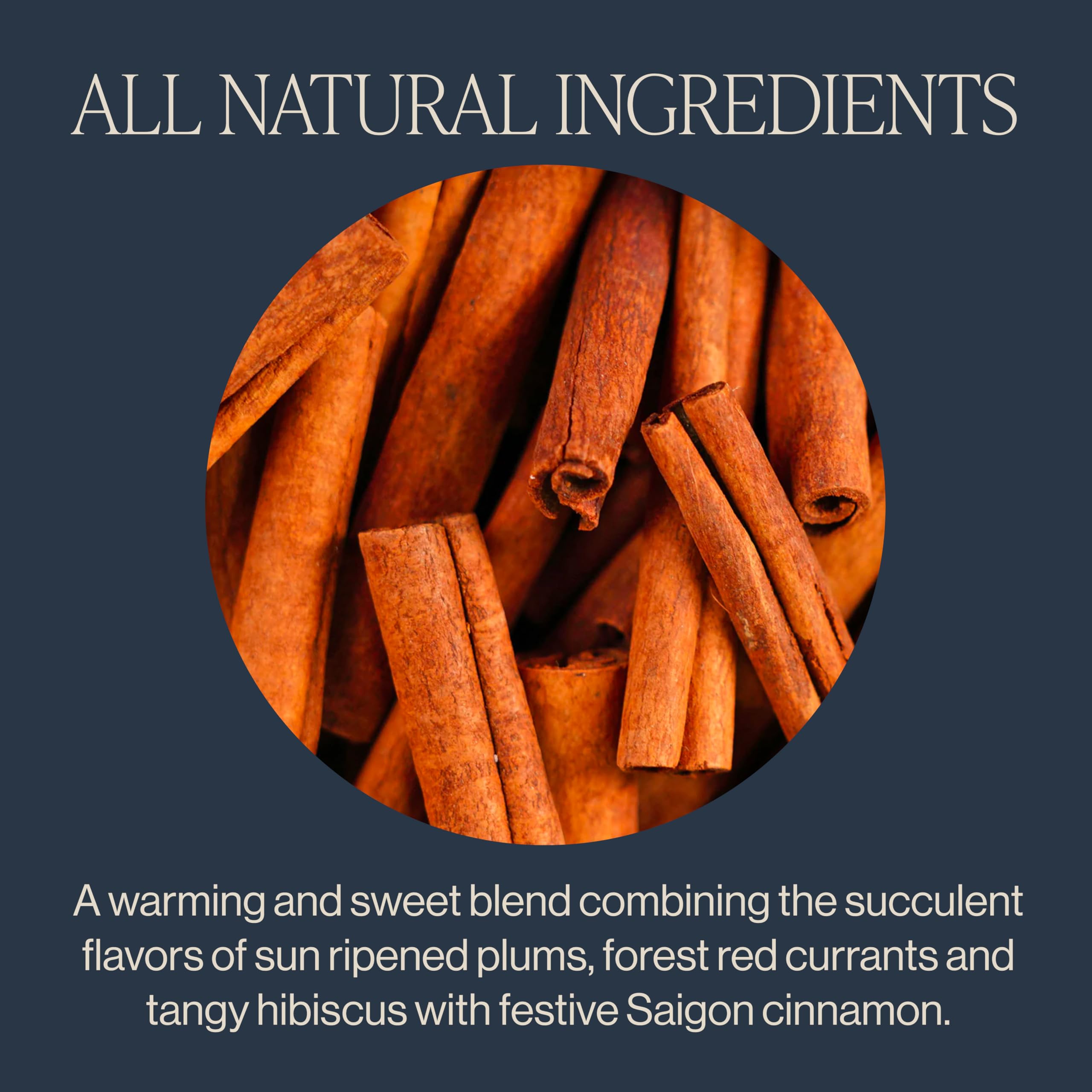 Rishi Cinnamon Plum tea returns a warm amber infusion in a cup.