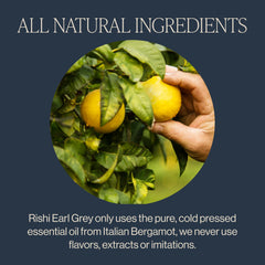 Rishi Earl Grey bergamot oil aroma fills the kitchen during tea time.