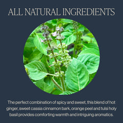 Rishi Tea Cinnamon Tulsi Spice sachet tea bags arranged for quick single-serve use