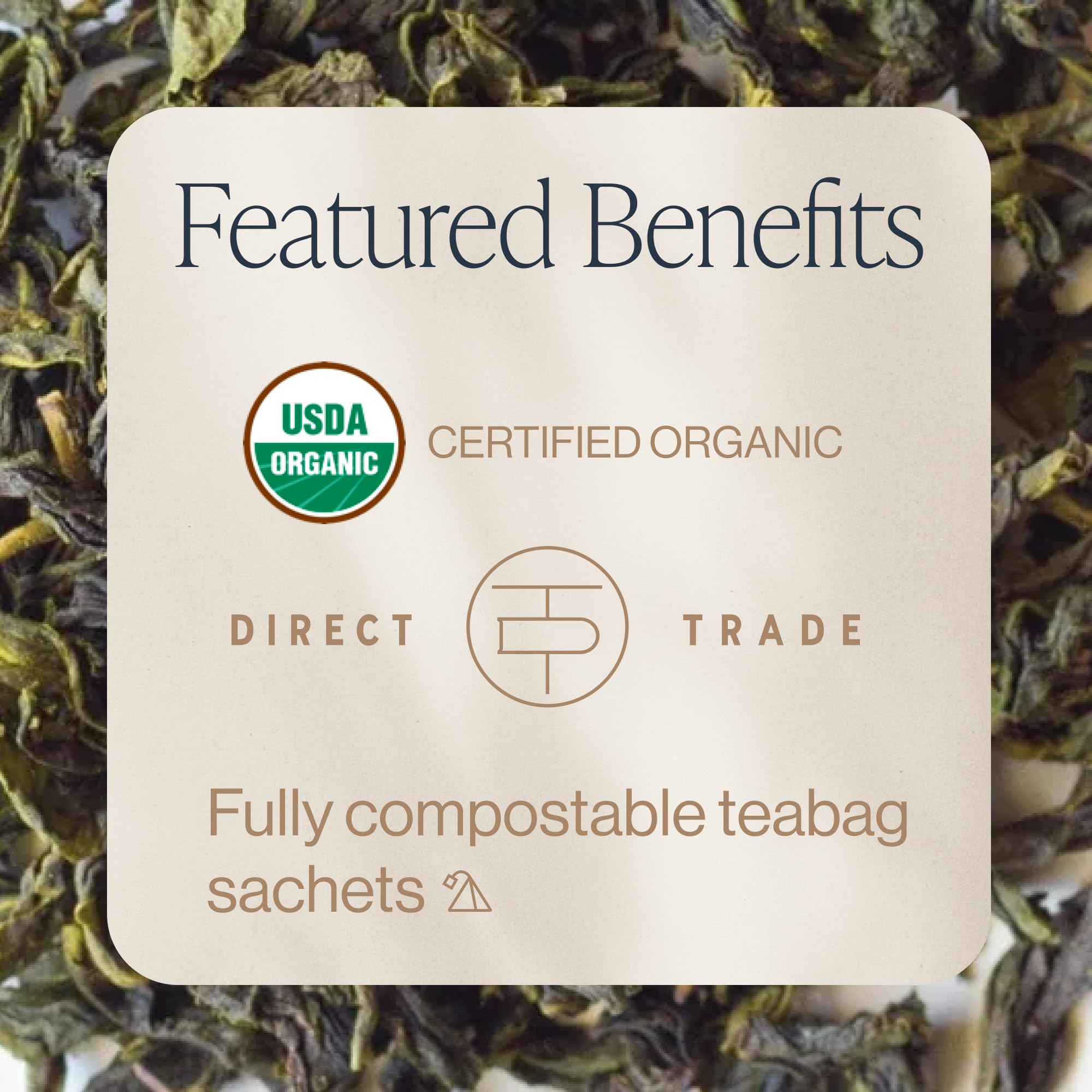 Steaming cup of Earl Green from Rishi Tea delivering smooth sencha and bergamot aroma.