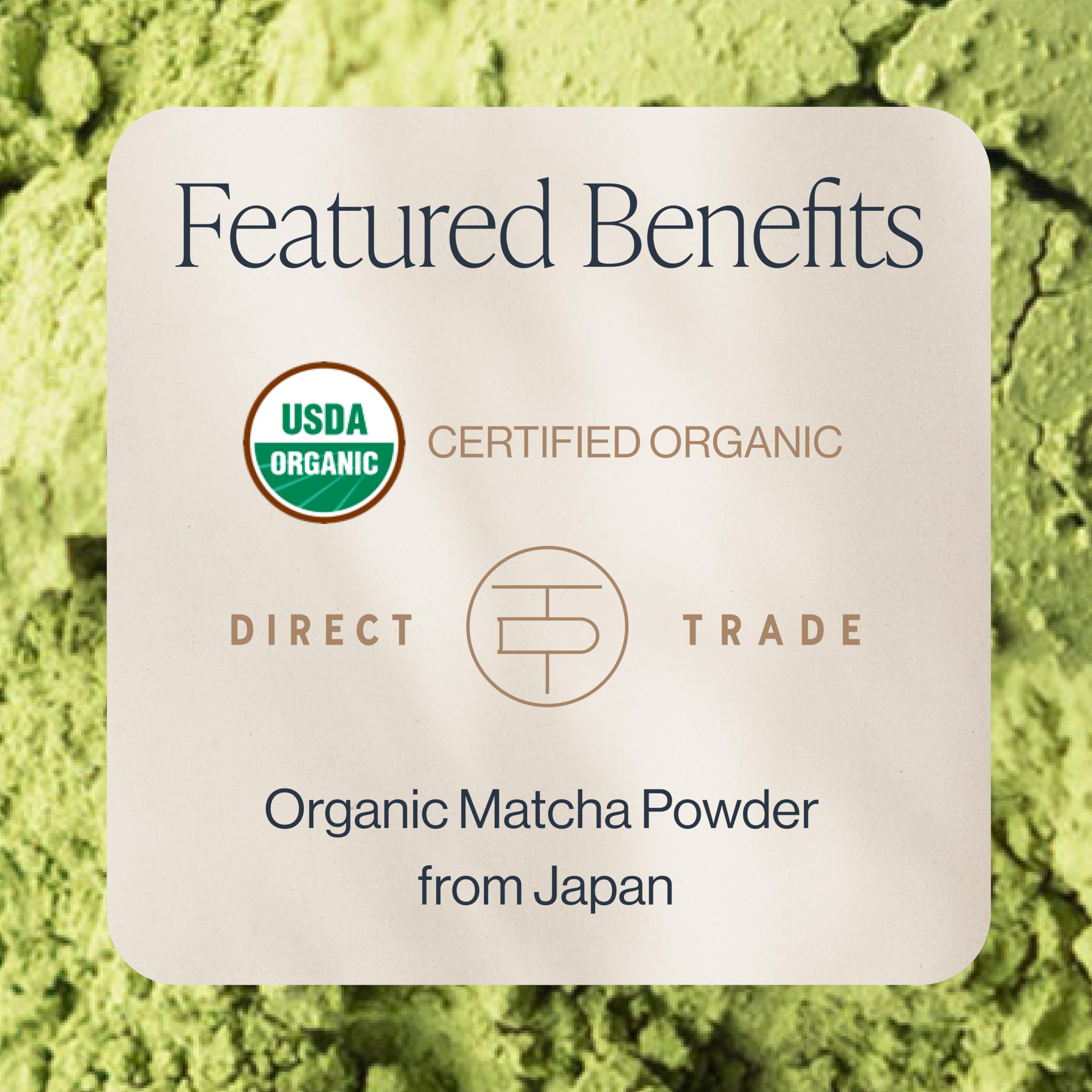 Rishi Tea Everyday Matcha tin back view showing label and details