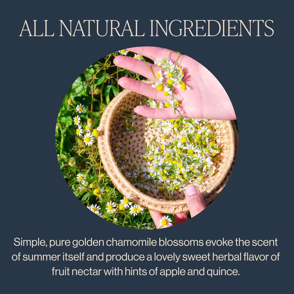 Rishi Tea Golden Chamomile Blossoms steeping in a cup for relaxed, peaceful moments.