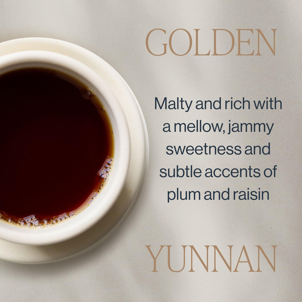 Rishi Tea Golden Yunnan cup reveals rich auburn infusion ideal for mornings
