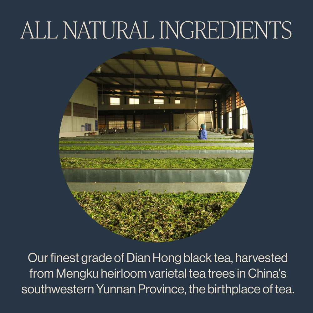 Rishi Tea Golden Yunnan teapot brew showing full-bodied infusion ready to savor