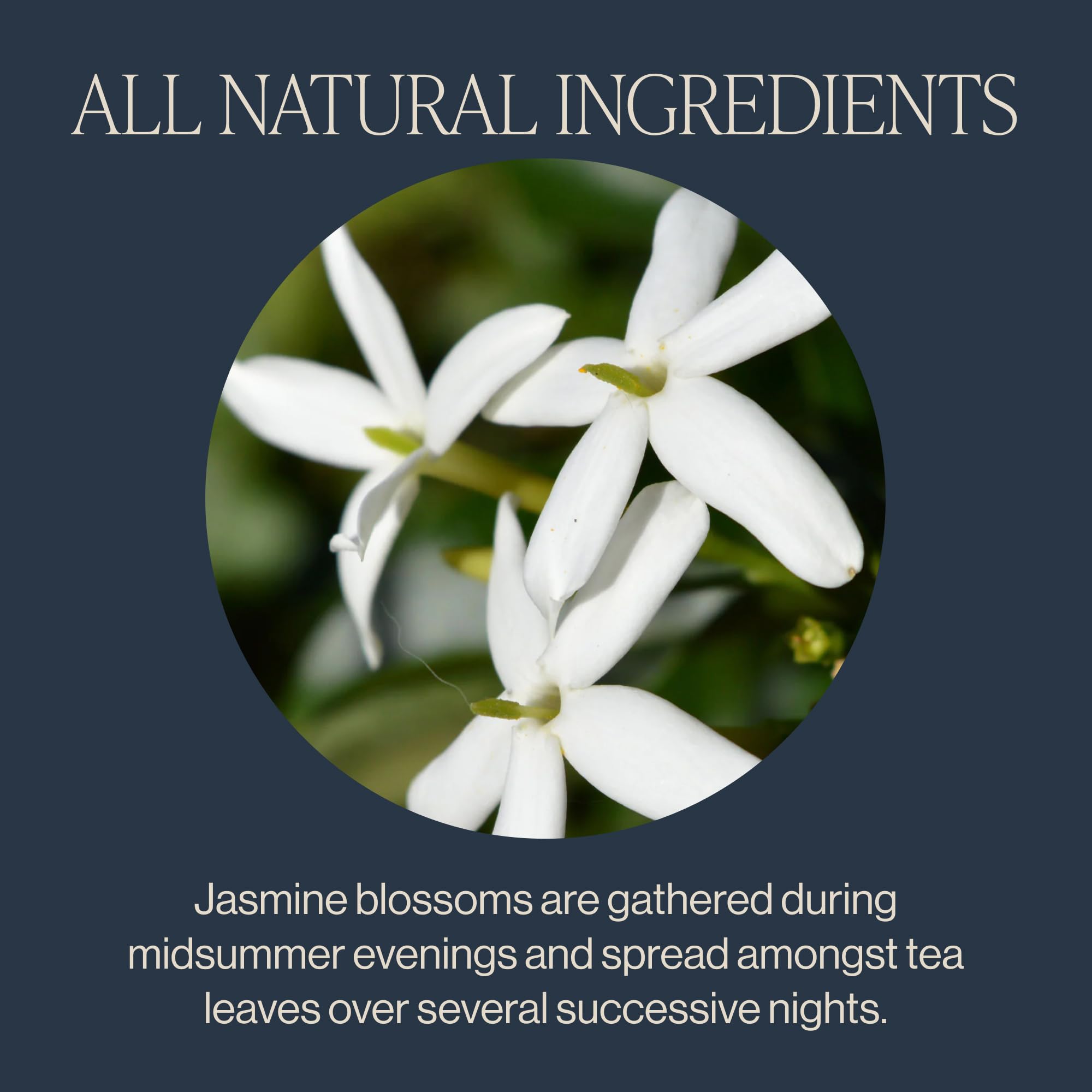 Steam rising from Jasmine Green Tea brew with soft floral aroma.