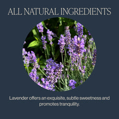 Brewed cup of Rishi Tea Lavender Mint with a soothing golden infusion