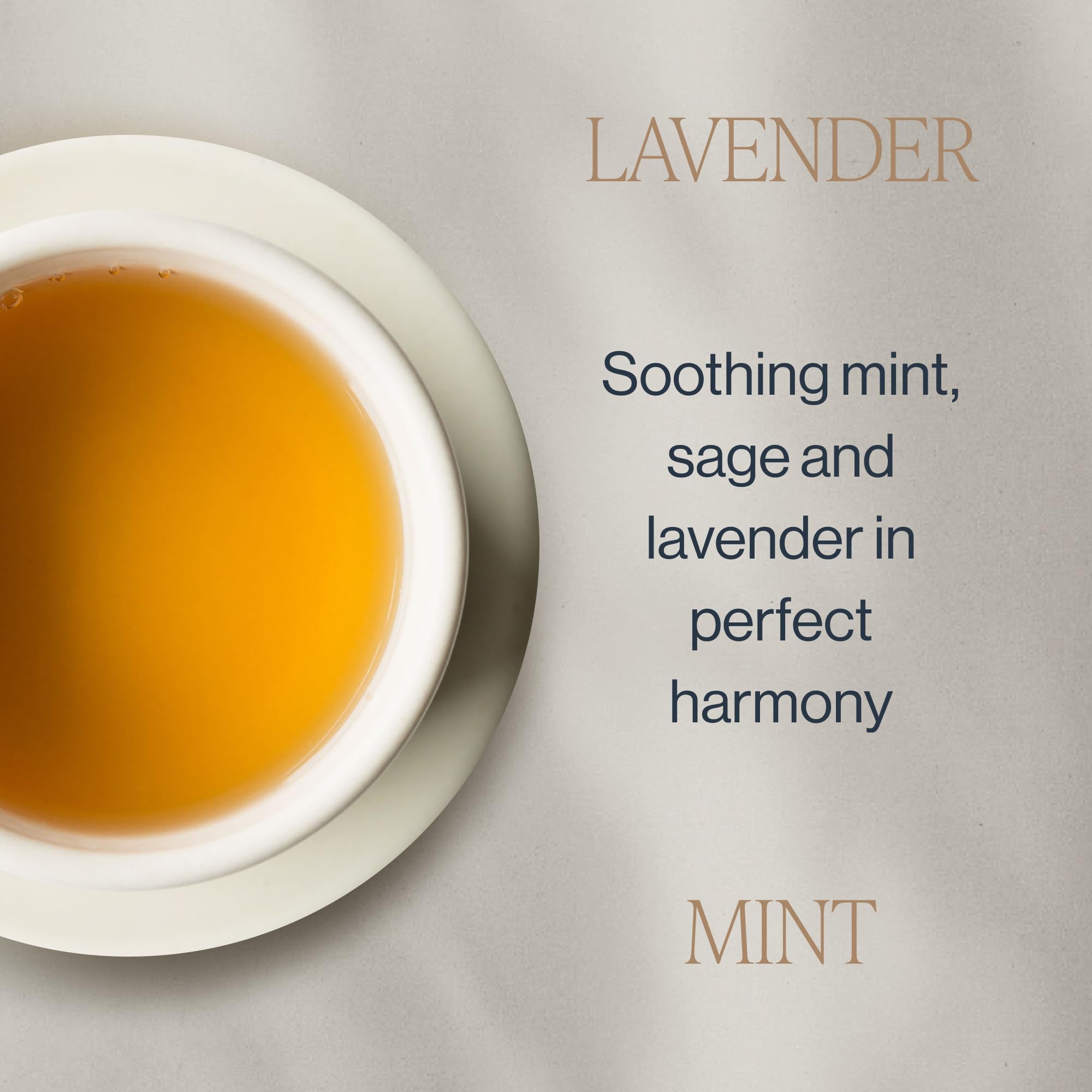 Rishi Tea Lavender Mint sachet close-up highlighting biodegradable packaging