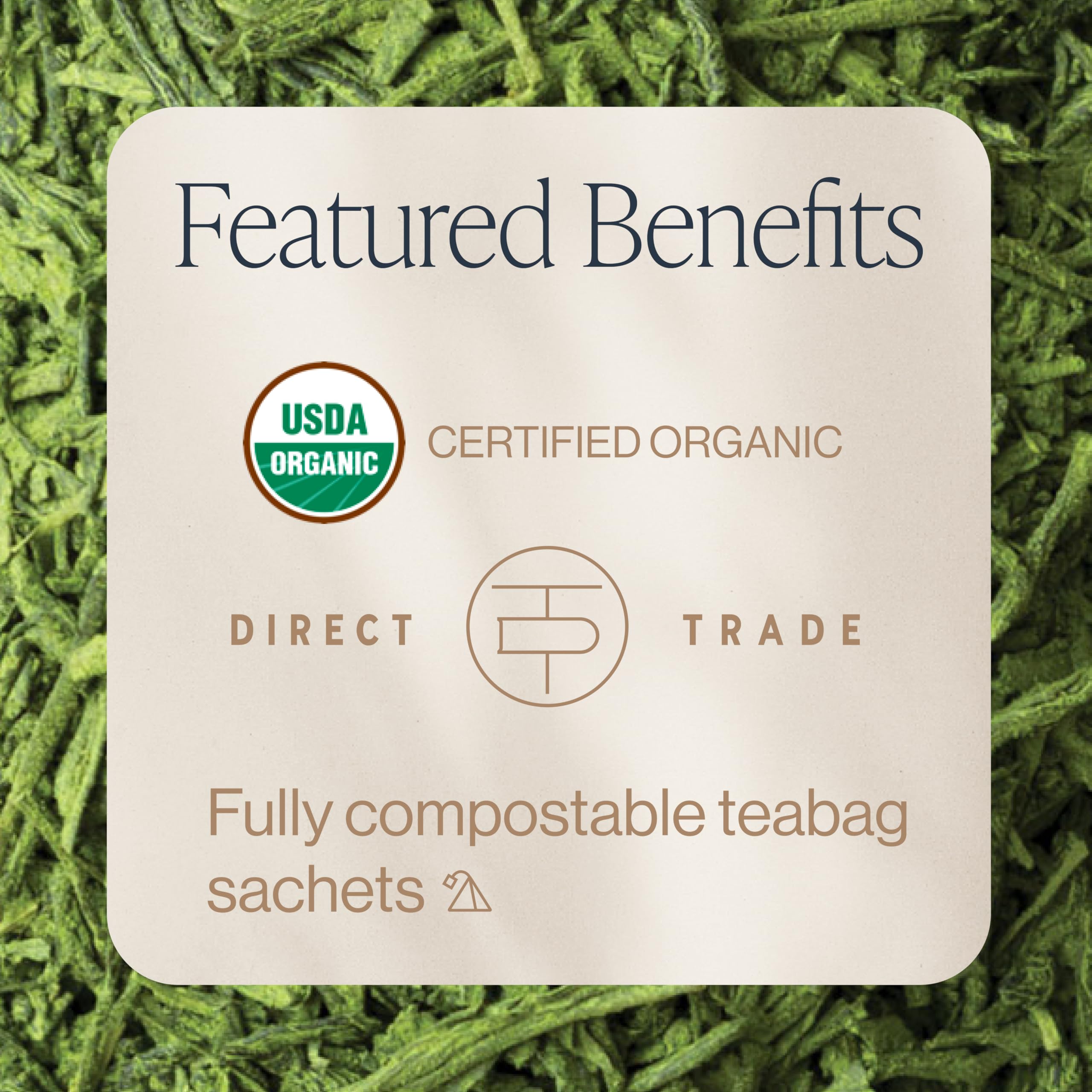 Rishi Tea Matcha Super Green cup steeping with aroma.