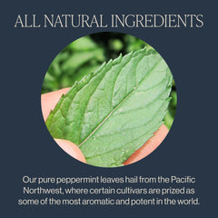 Rishi Tea Peppermint brew steeping image suggests a soothing minty moment