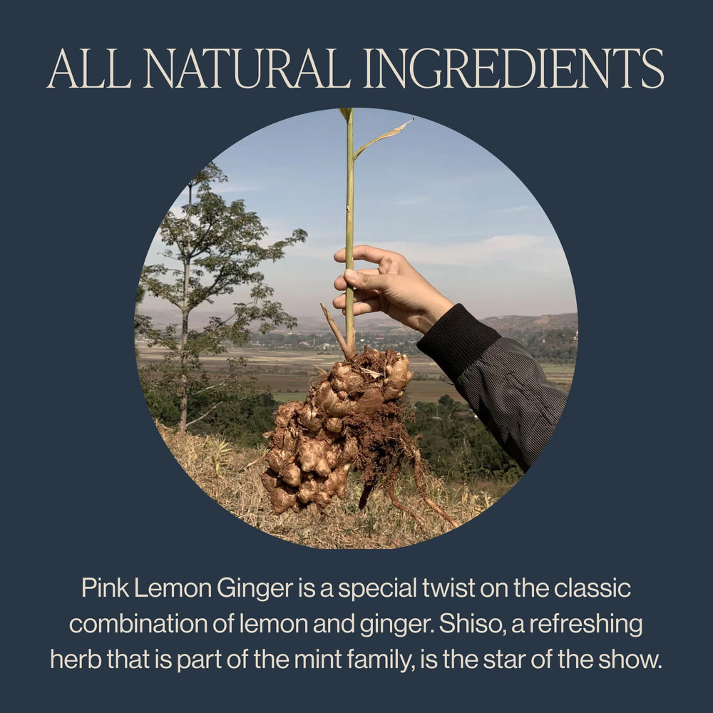 Rishi Tea Pink Lemon Ginger iced pour highlights refreshing flavor over ice.
