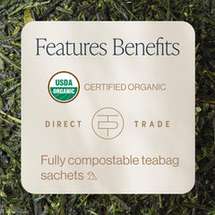 Rishi Tea Sencha green sachet in cup ready for a quick, crisp brew