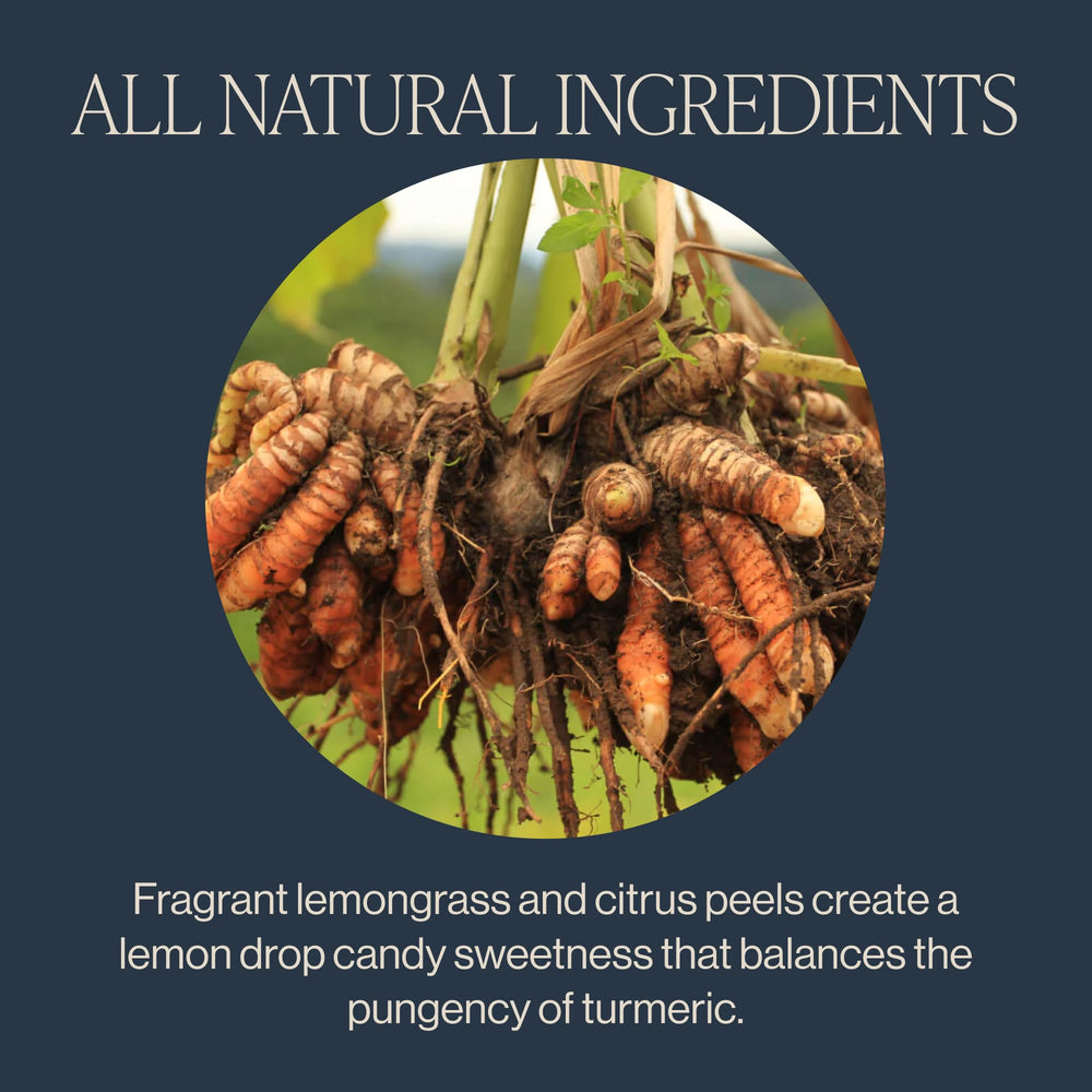 Rishi Tea Turmeric Ginger label closeup highlights organic, non-GMO ingredients.