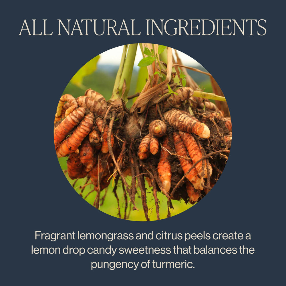 Rishi Tea Turmeric Ginger brewed in a glass pitcher, perfect for serving hot.