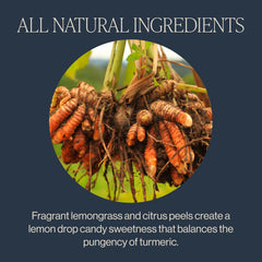 Rishi Tea Turmeric Ginger brewed in a glass pitcher, perfect for serving hot.