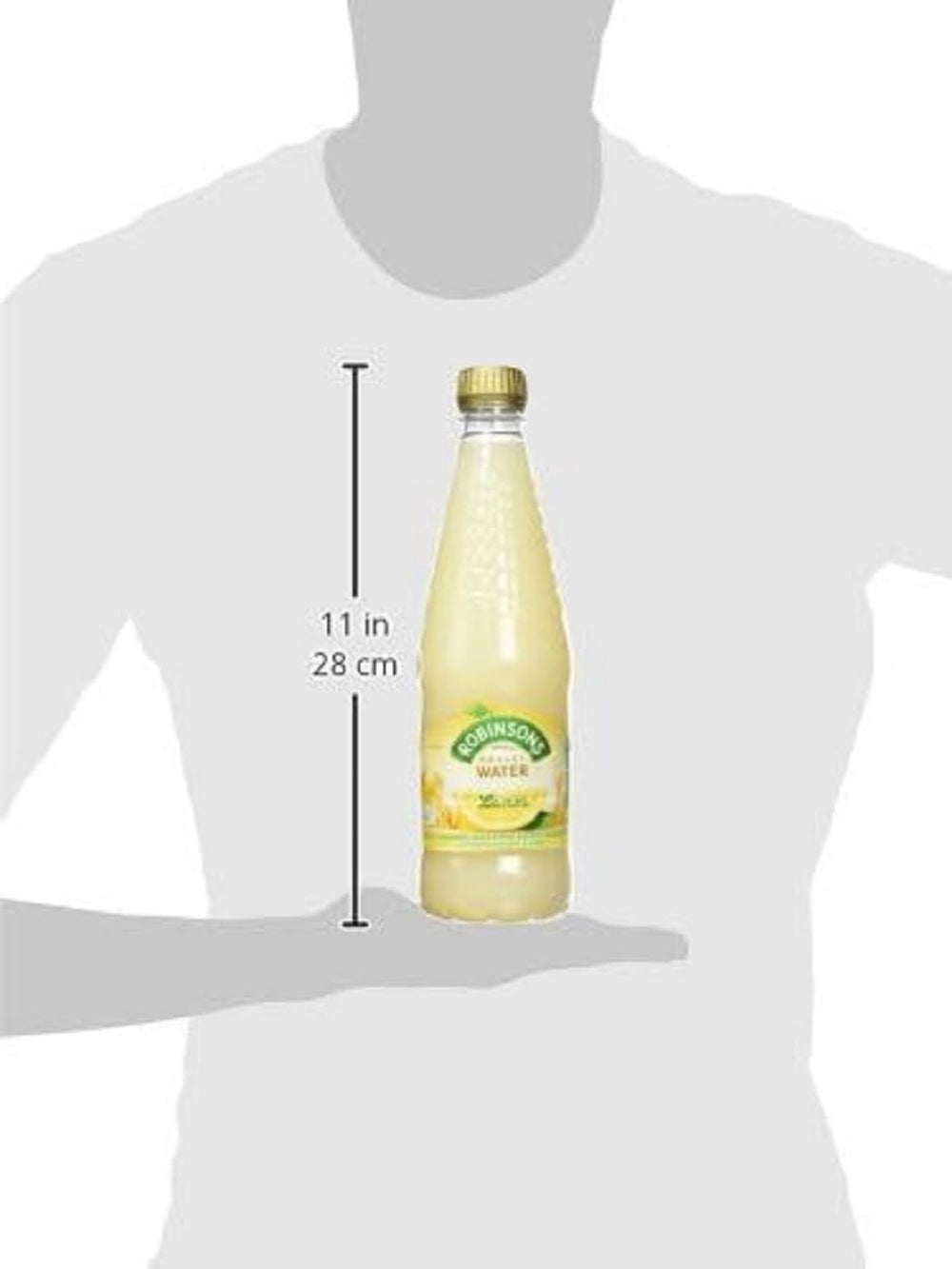 Robinsons Water Lemon Barley serving idea with friends outdoors for picnics.