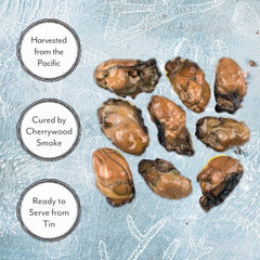 Roland Foods oysters in oil illustrating wild-caught Pacific origin.
