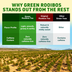 ROOIBOS ROCKS organic green rooibos tea bags offer pure flavor and natural sweetness