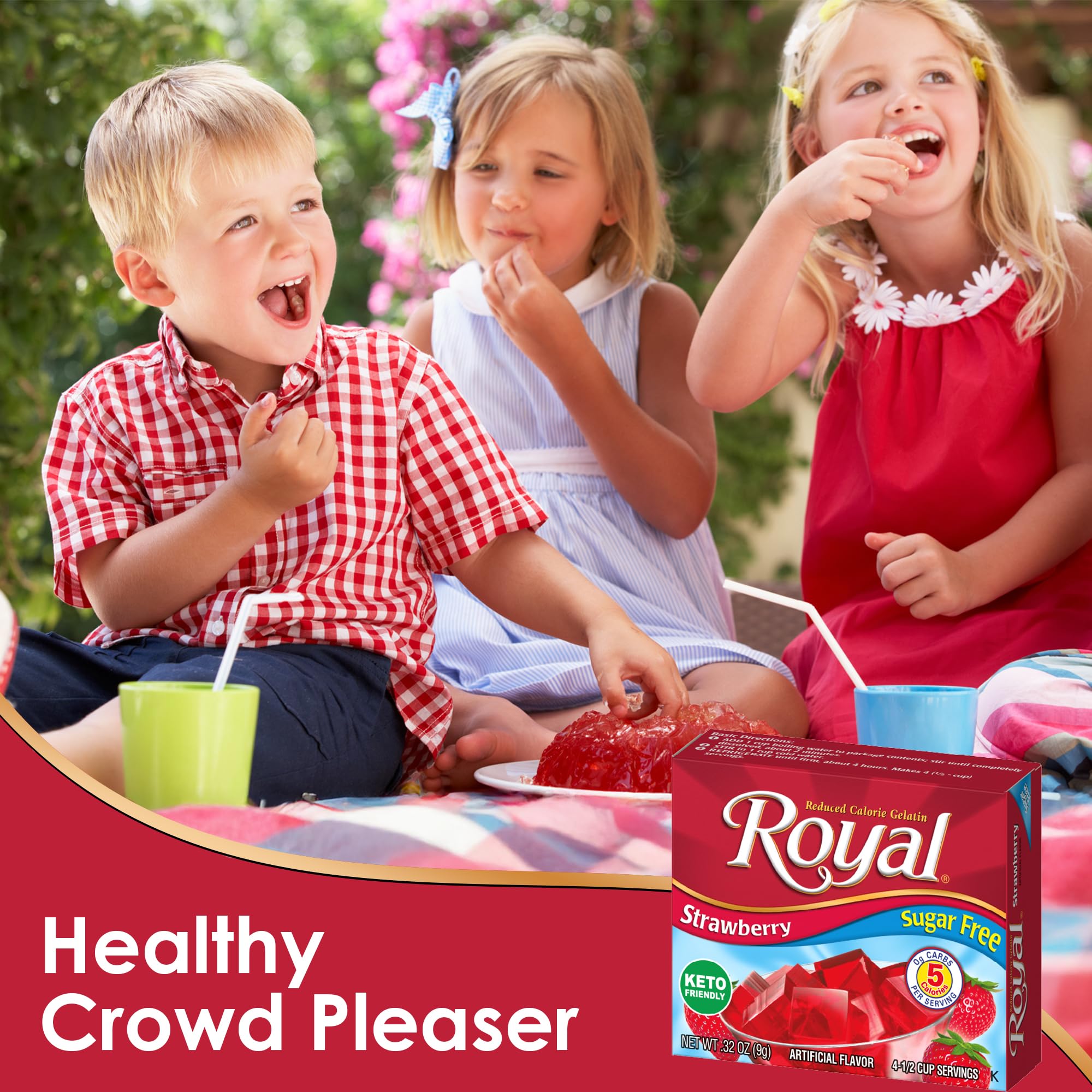 Royal Gelatin Sugar Free ready-to-serve cups setup for family snacking