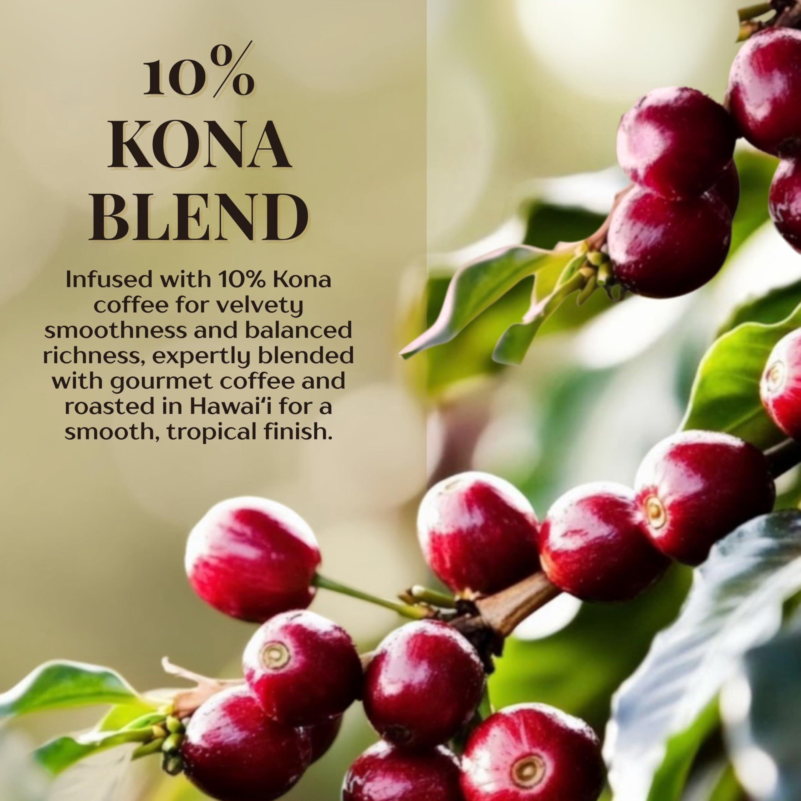 ROYAL KONA Coffee macadamia flavor detail highlights chocolate notes for indulgent mornings