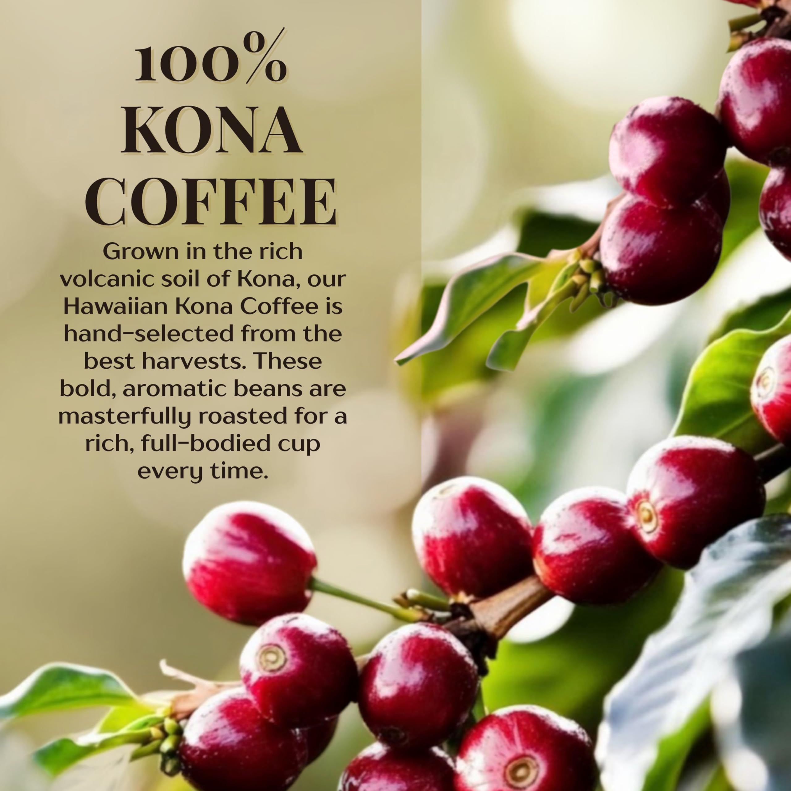 Royal Kona Coffee steaming cup – inviting aroma to elevate morning routines.
