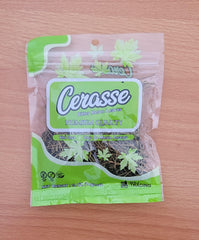 RSJ Cerasse Tea bush leaves under sun for a fresh, aromatic brew.