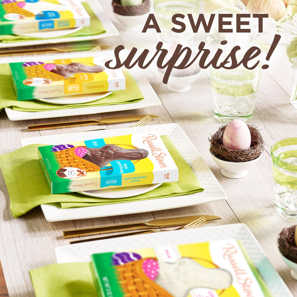Russell Stover Easter Bunny caramel milk chocolate detail shot showing smooth surface