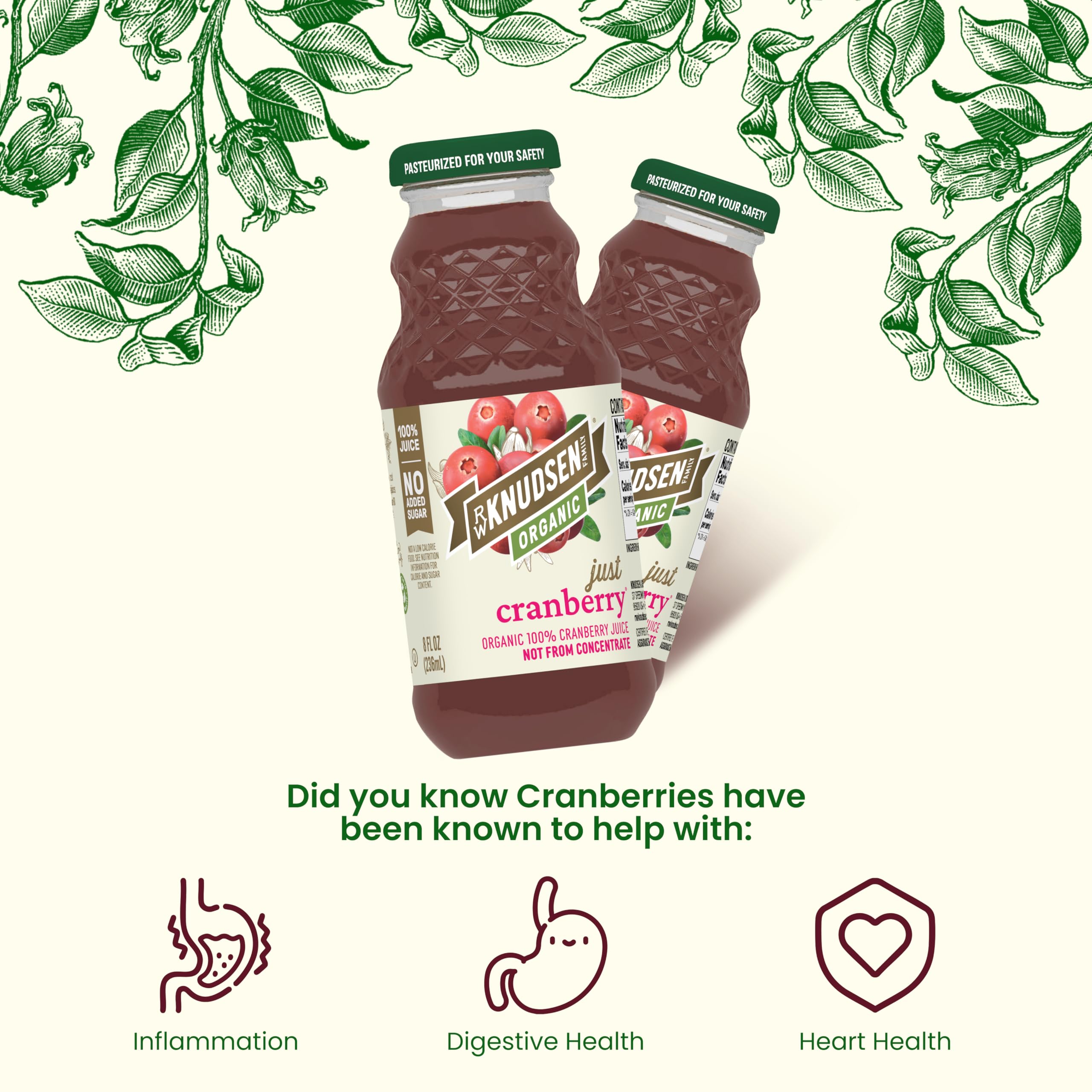 12-pack of R.W. Knudsen Organic Just Cranberry Juice for family gatherings