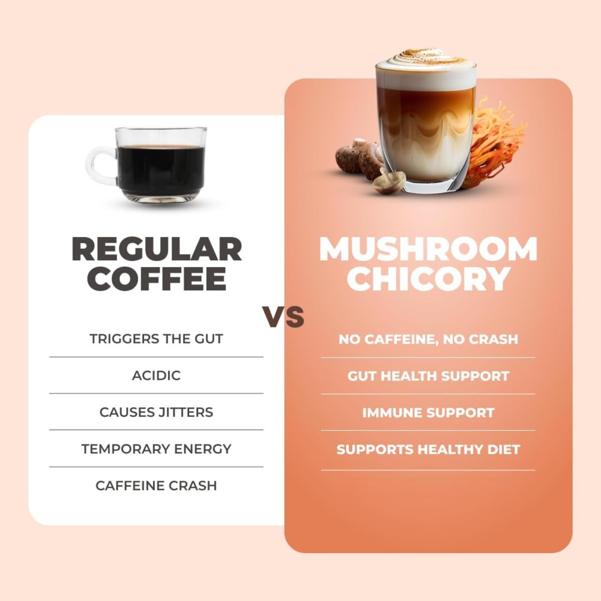 RYZE Mushroom Chicory chicory root provides prebiotic fiber for gentle daily digestion
