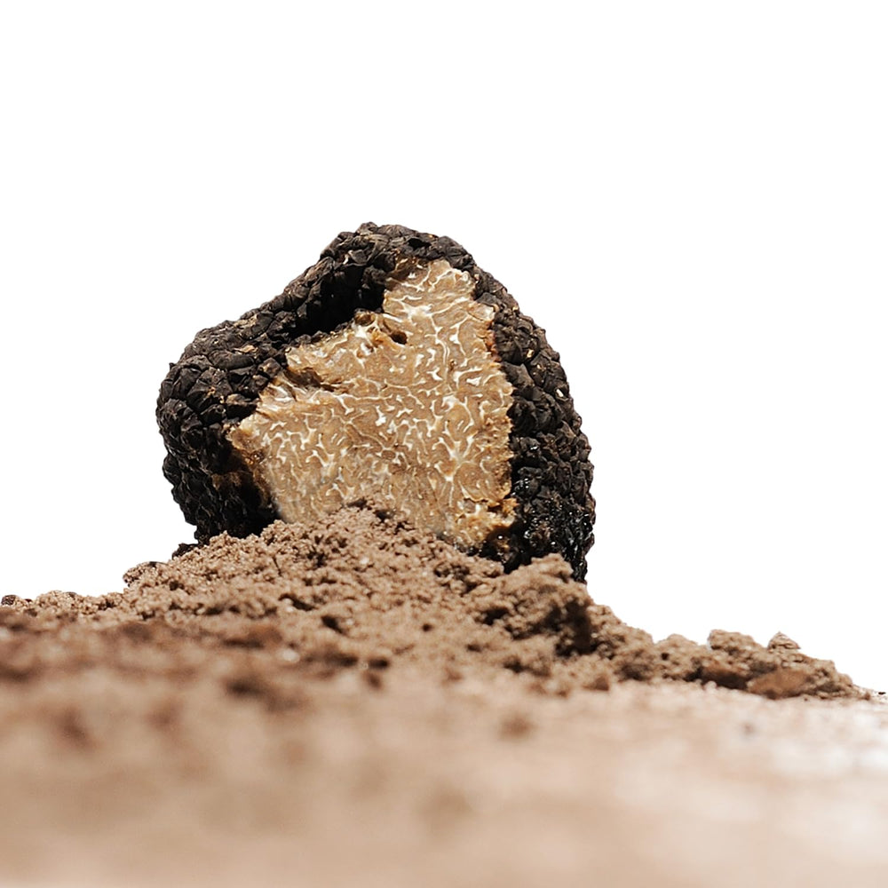 Sabatino Tartufi Truffle Zest in sauce dish boosts flavor in dressings and dips.