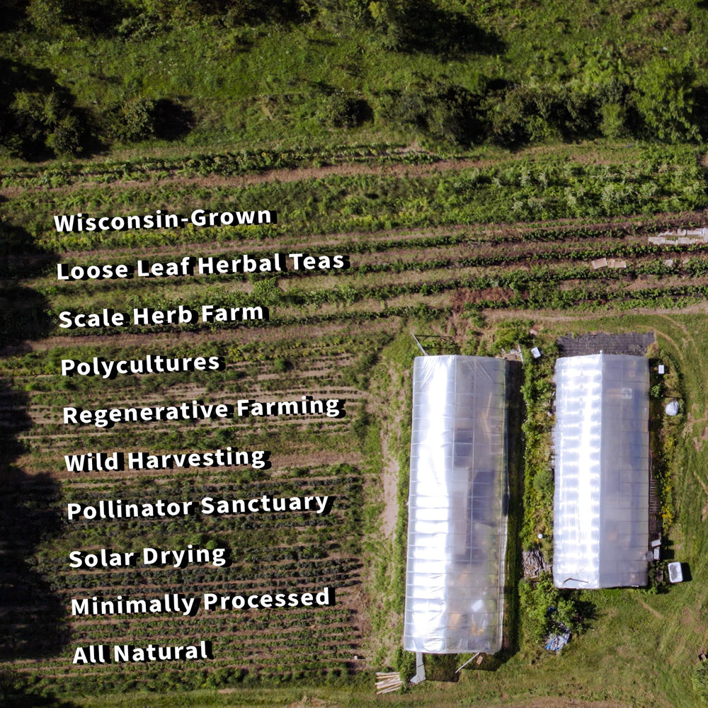 Sacred Blossom Farm Milky Oats field harvest showcases regenerative farming.