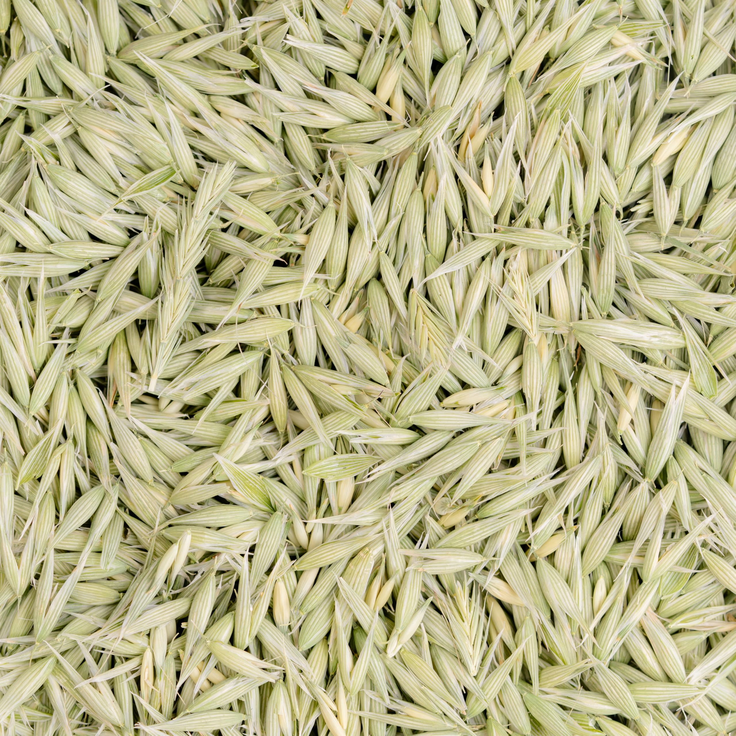 Sacred Blossom Farm Milky Oats jar packaging highlights sustainability.
