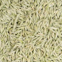 Sacred Blossom Farm Milky Oats jar packaging highlights sustainability.