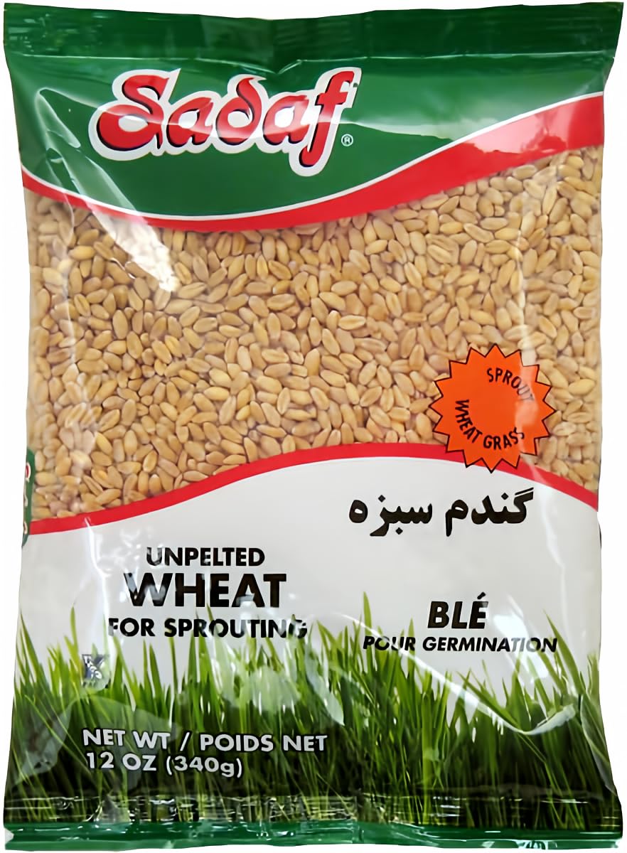 Sadaf unpelted wheat sabzeh sprouting grains ready for home sprouting and Haft-Seen cultivation