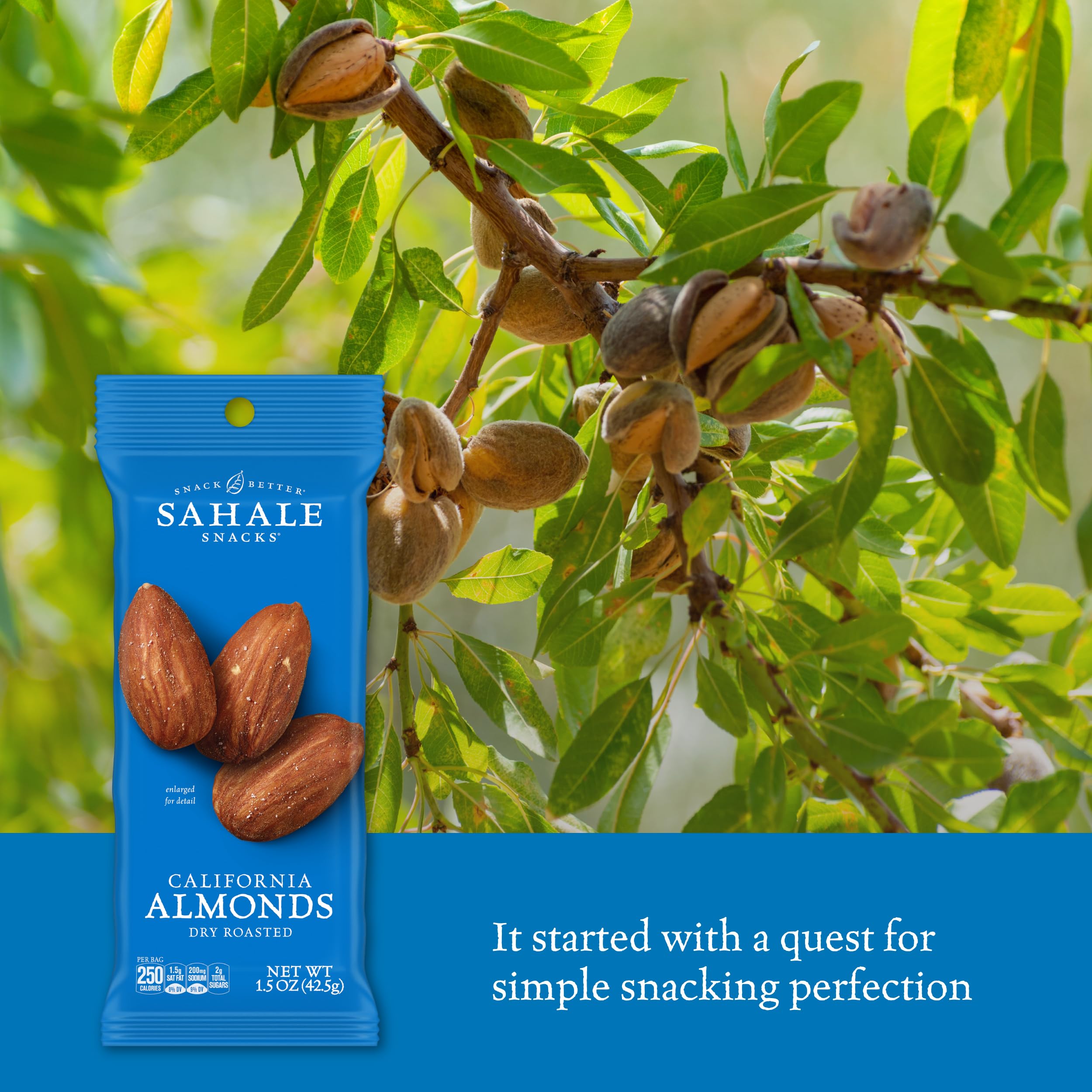 Grab-and-go pouch of Sahale almonds ready for travel snacking.