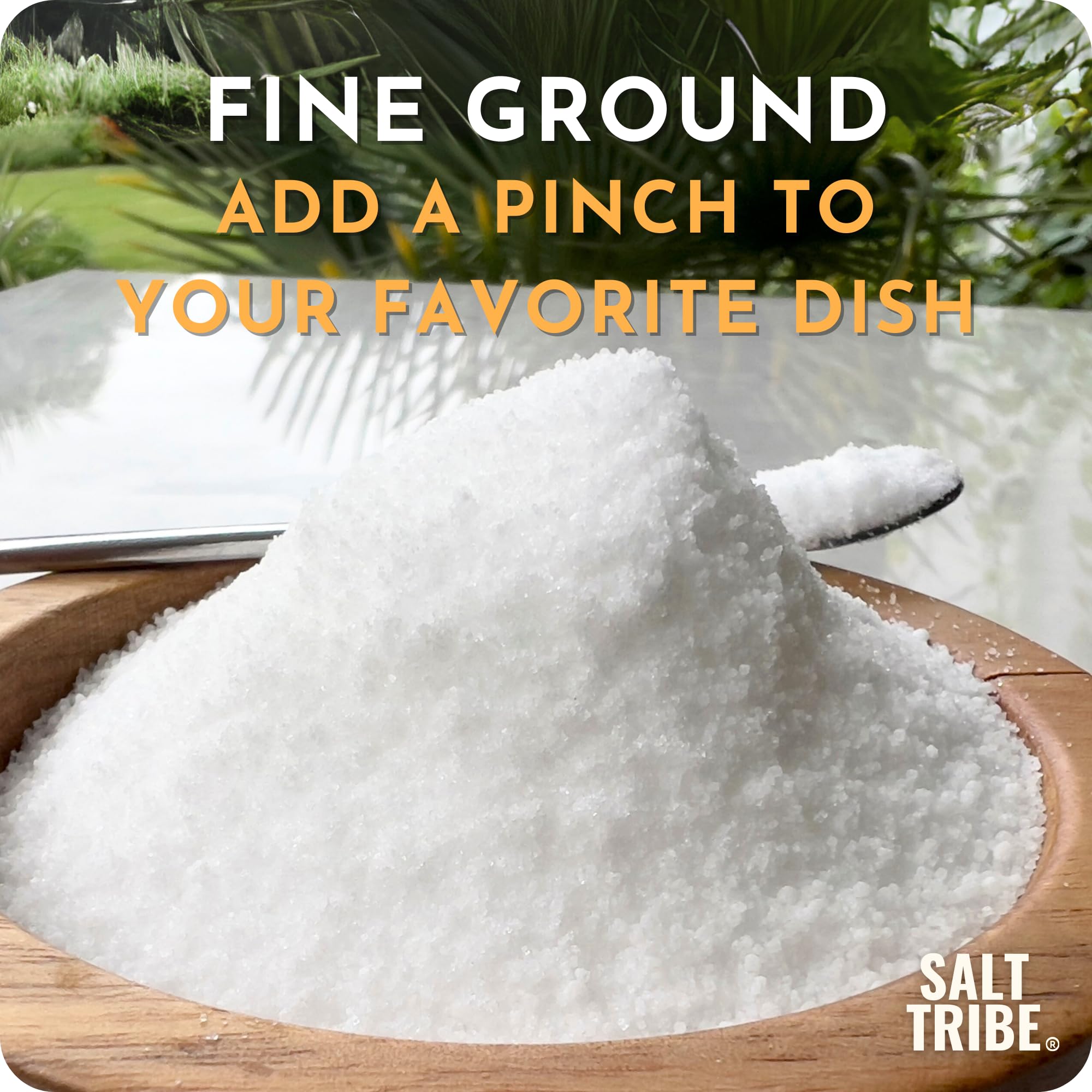 Slightly moist Baja Sea Salt texture with fine grains.