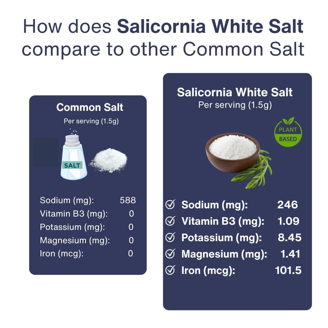 SaltWise Salicornia White Salt dispenser scoop, easy seasoning.