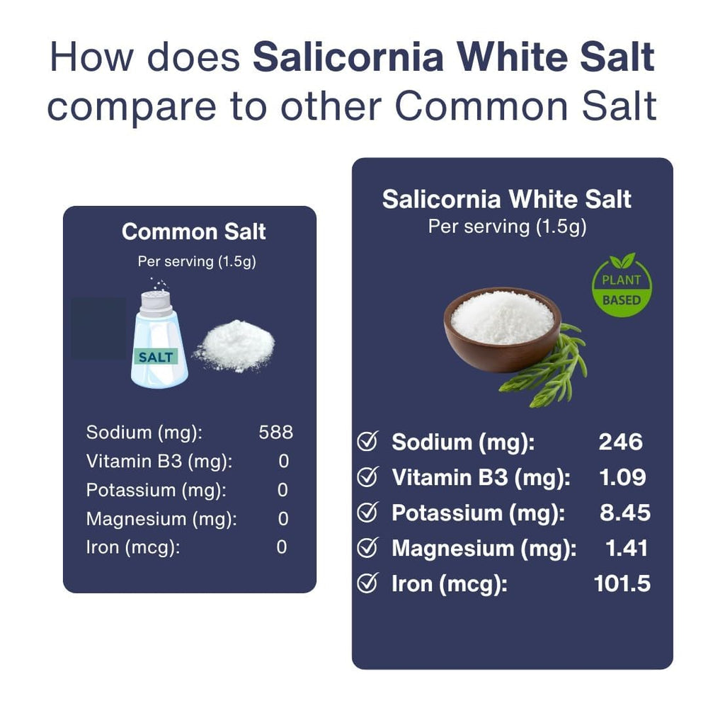 SaltWise Salicornia White Salt dispenser scoop, easy seasoning.